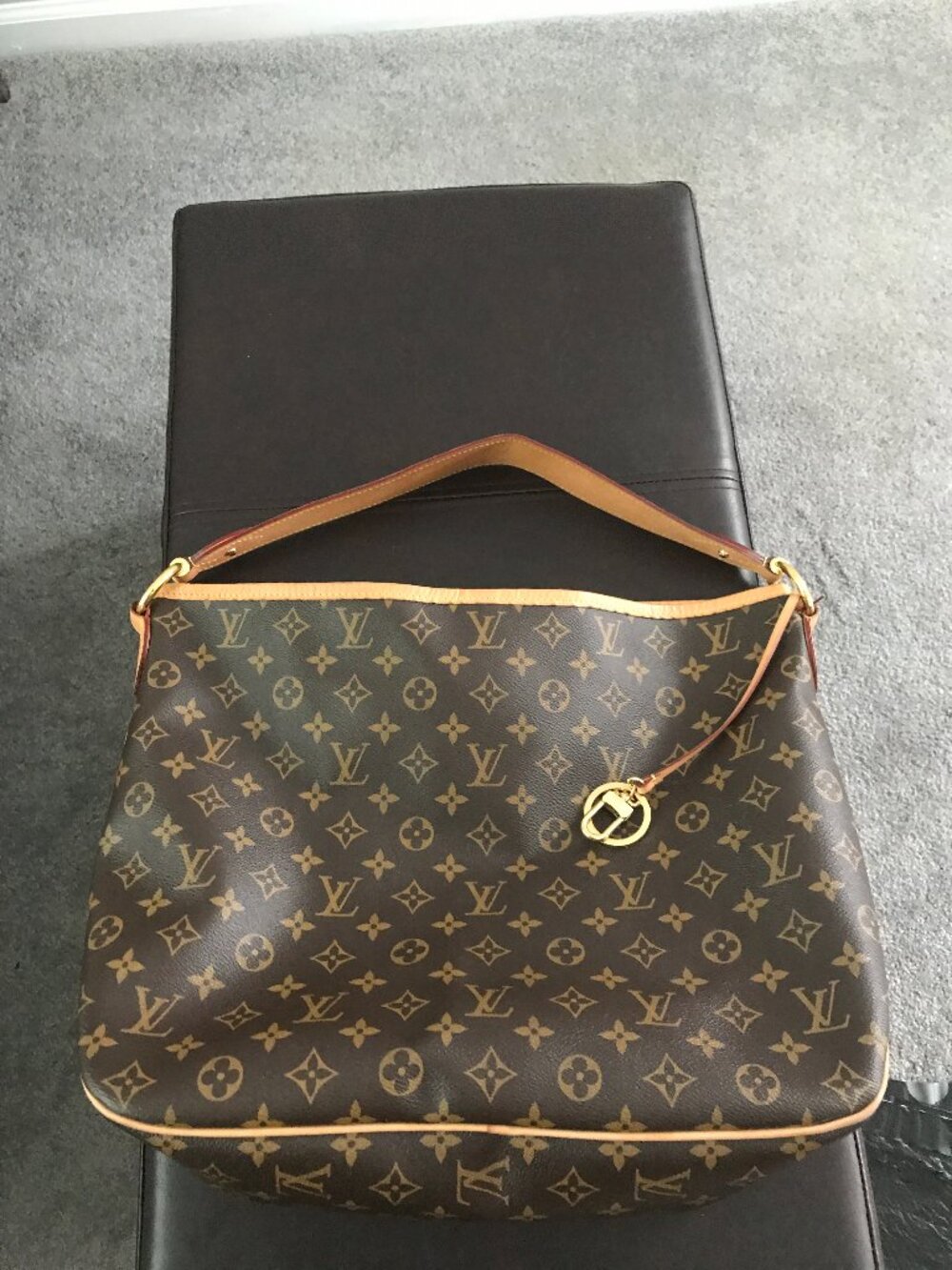 Louis Vuitton Delightful Purchase